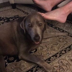 Meet your Posher, Vicki